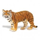 safari (ե) ()294529