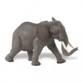 safari (ե) եꥫ ()270029