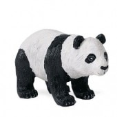 safari (���ե���) ���㥤����ȥѥ��(��) 272429