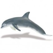 safari (���ե���) MB �Х�ɥ����륫(��) 210802