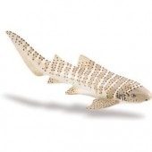 safari (ե) ȥե 223329