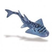 safari (ե) ΥΥ᥵ 226329