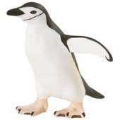 safari (ե) ҥڥ󥮥 220429