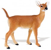 safari (���ե���) ����������(��)180229