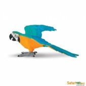 safari (サファリ) ルリコンゴウインコ 264029 