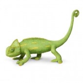 safari (���ե���) ���ܥ�����쥪��(�٥ӡ�) 261029