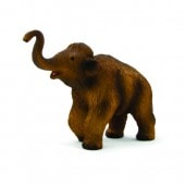 Mojo/ANIMAL PLANET �ޥ�⥹(��) 387050