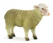 Mojo/ANIMAL PLANET ��ҥĥ� 387096