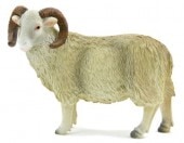 Mojo/ANIMAL PLANET �ҥĥ�(����) 387097