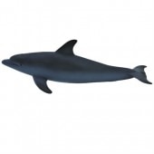 Mojo/ANIMAL PLANET ���륫 387118