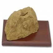 �����С�/KA-BAR  ����������С� �ʥ��� �ǥ����ץ쥤 ������� 1429