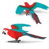 safari (ե) ٥˥󥴥  263929