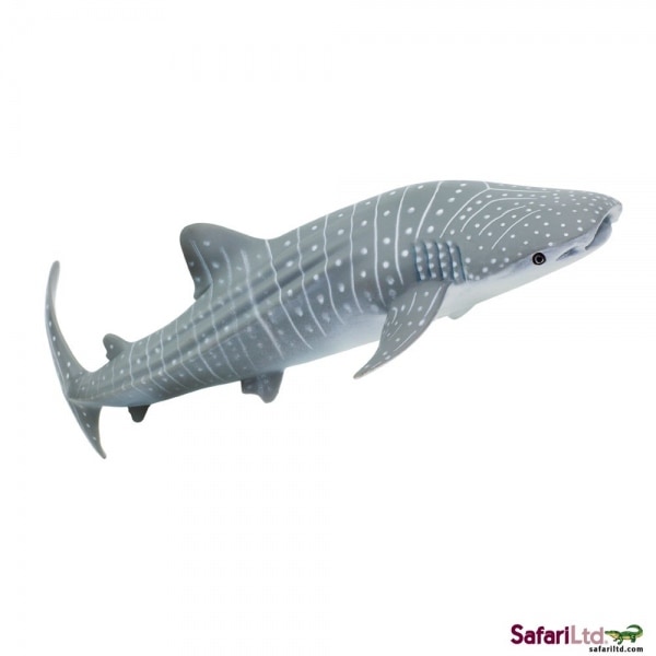 Safari  Wild Safari SeaLife ( ワイルド サファリ シーライフ ) ジンベエザメ 422129 safari (サファリ) ジンベイザメ 422129 | 動物・恐竜フィギュア