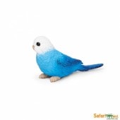 safari (ե)  (֥롼) 150629