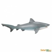 safari (ե) ᥸ 422429