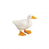 safari (���ե���) ���å����� 233662 ����