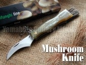  ޥ 800CR ޥå롼ʥ ꥢۡ  Τ  Υ Maserinڥ᡼ġ