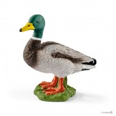 ☆Schleich (シュライヒ) カモ 13824 (12457)