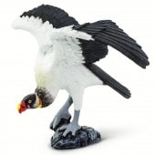 safari (���ե���)�ȥ���������ɥ� 100270