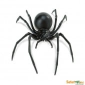 safari (���ե���)������������ 545406