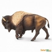 safari (���ե���)�Х����� 100152