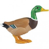 safari (���ե���)���ҥ� 233229