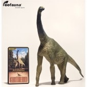 eofauna(ե) ȥ饵륹 1/40 緿 ե奢ʡ߸ˡۡʡ