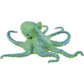 safari (ե)WS ʥ֥롼 200929