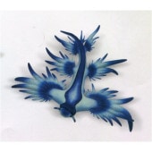2023���� BULLYLAND(�֥꡼����) �����ߥΥ��ߥ�����Blue sea slug)  67511
