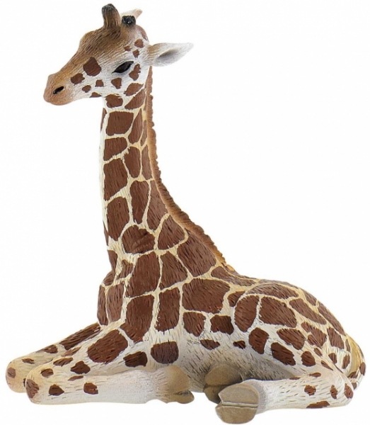 ��BULLYLAND(�֥꡼����) ����� �� 63669