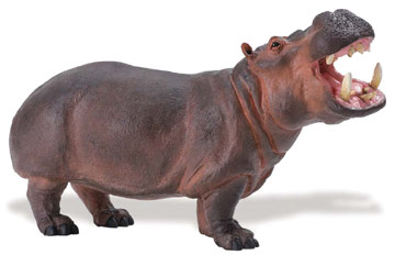 safari (���ե���) ���� WW 111889