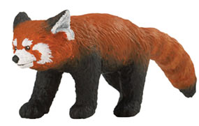 safari (���ե���)  ��å����ѥ�� 283429