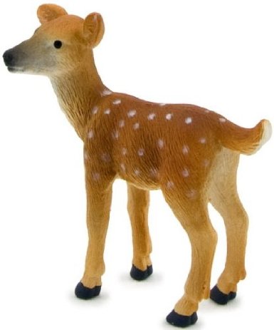 Mojo/ANIMAL PLANET ���� 387036