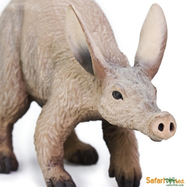 safari (ե) ĥ֥ 282129