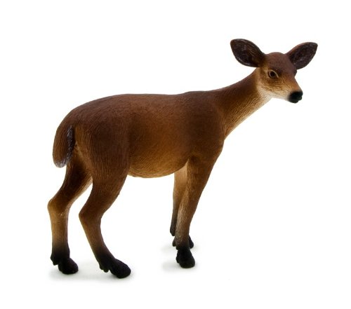 Mojo/ANIMAL PLANET �� 387037