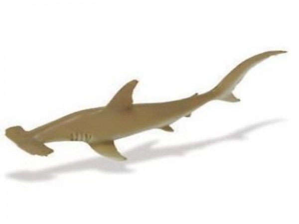 safari (ե)⥯ 210702