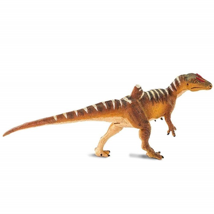 safari (���ե���)�ǥ��Υ˥��� 100354