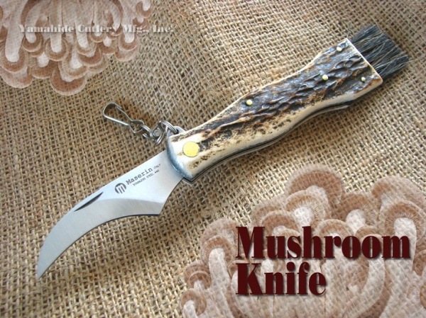 Maserin/�ޥ���� 800CV �ޥå���롼��ʥ��� �����å� ���Τ����� �� ���Υ� 