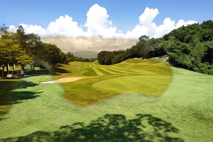 �ڲ����Ͽ�Ǥ�����ESS 9034-205 �������֥졼�� Crossblade NARO ���饳���� �����˥��� �ϥ��ǥե֥��󥺥�� ���󥰥饹 �����������ʡ�