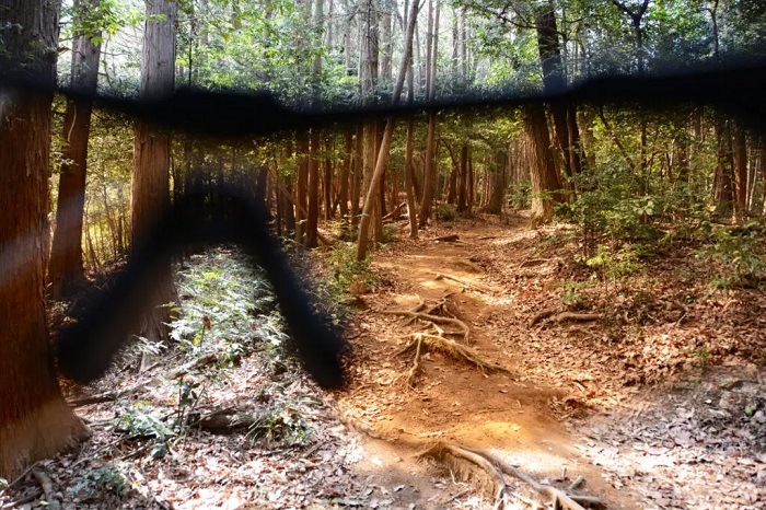 �ڲ����Ͽ�Ǥ�����ESS 9034-205 �������֥졼�� Crossblade NARO ���饳���� �����˥��� �ϥ��ǥե֥��󥺥�� ���󥰥饹 �����������ʡ�