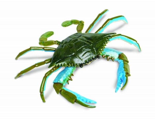 safari (���ե���) �勵�ꥬ�� 269729