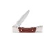 �Хå� 501 RWS-B �����磻�� �ե�����ǥ��� �ʥ���  BUCK Squire knife
