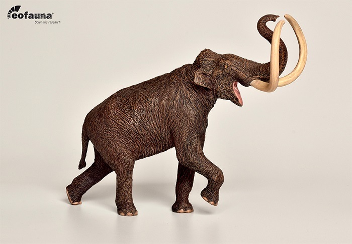 eofauna(�����ե�����) ���ƥåץޥ�⥹ 1/40 �緿 �����ե����奢 (�ޥ�ȥ������ȥ�����ƥ�)�������ʡ����߸ˡۡ������ʡ�