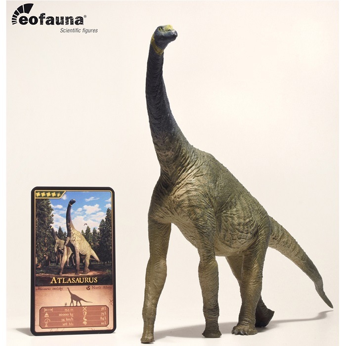 eofauna(�����ե�����) ���ȥ饵���륹 1/40 �緿 �����ե����奢�������ʡ����߸ˡۡ������ʡ�