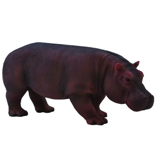 Mojo/ANIMAL PLANET ���� 387104