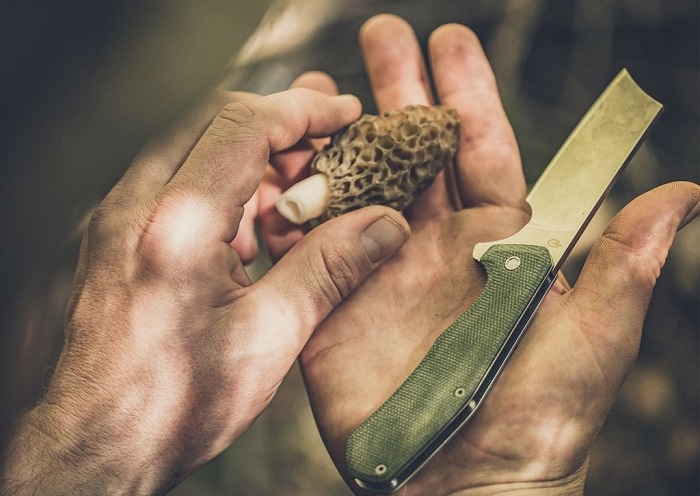 ���ò�������ۥ����С� G30-001807  ������ ���˥��� 7Cr17MoV��/����ߥ˥���ϥ�ɥ� �ޤ���� ���꡼�С� �ʥ���  GERBER Asada Onyx Folding Cleaver