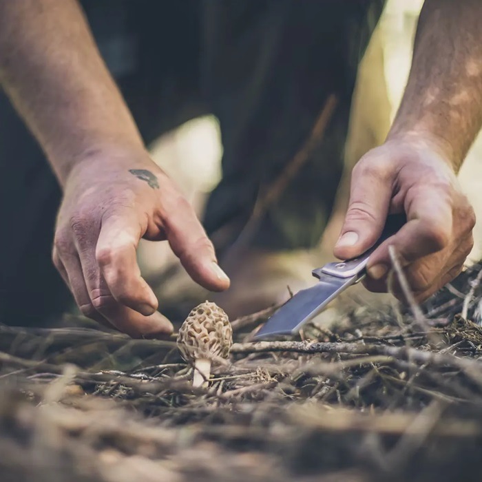 ���ò�������ۥ����С� G30-001807  ������ ���˥��� 7Cr17MoV��/����ߥ˥���ϥ�ɥ� �ޤ���� ���꡼�С� �ʥ���  GERBER Asada Onyx Folding Cleaver