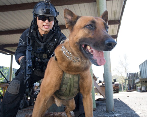 �ڲ����Ͽ�Ǥ�����ESS �������ܡ� �������ܥ� Crossbow 2LS ��������ե��å� ���󥰥饹 2��򴹥��