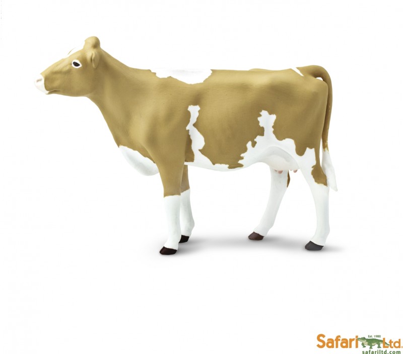 safari (���ե���)���󥸡��� 162029