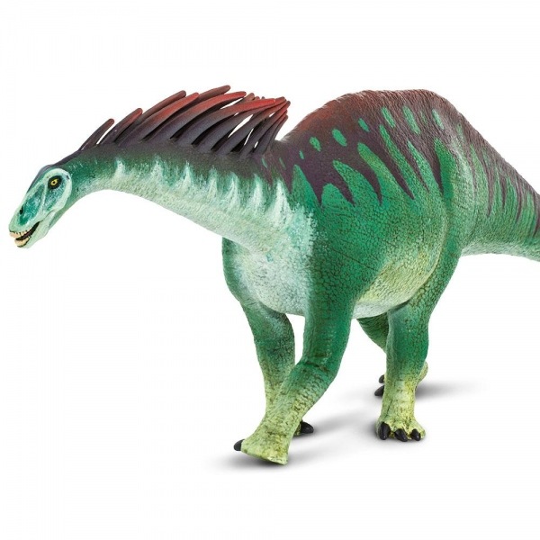 safari (���ե���)WS���ޥ륬�����륹2 304629